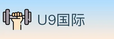U9国际 logo